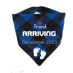Pregnancy Announcement| Engagement Announcement | Big Sister| Big Brother Dog | Little Bro, Little SIs, Will You Marry, Custom Pet Bandanas
