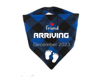 Pregnancy Announcement| Engagement Announcement | Big Sister| Big Brother Dog | Little Bro, Little SIs, Will You Marry, Custom Pet Bandanas