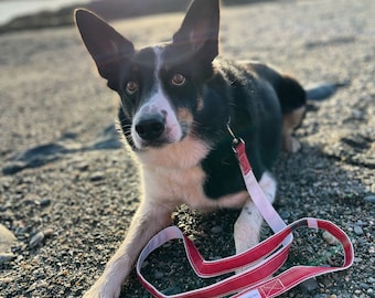 Recycled Sailcloth Dog lead