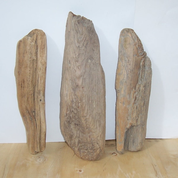 Driftwood driftwood beam pieces beams 3-piece length 36 - 42 cm craft decoration