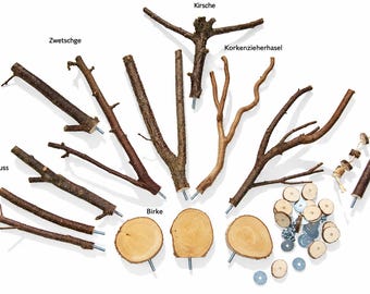 May include: A collection of natural wooden branches and circular wood slices, each featuring a metal threaded bolt attachment. The set includes various bark textures and shapes labeled as Kirsche, Zwetschge, Korkenzieherhasel, Haselnuss, and Birke, along with small metal washers.