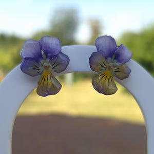 Op de afbeelding: Een paar oorknopjes met geperste viooltjes met paarse en gele bloemblaadjes. De bloemen hebben een glanzende, met hars gecoate afwerking en worden gepresenteerd op een witte, boogvormige oorbelkaart. De bloemblaadjes vertonen natuurlijke kleurverlopen.
