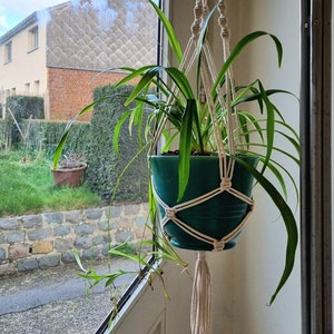 Op de afbeelding: Een groene keramische pot met een plant die hangt aan een macrame plantenhanger. De plant is een spinplant met lange, groene bladeren.