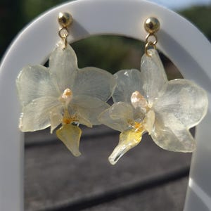 Op de afbeelding: Een paar hangende oorbellen met doorschijnende, gebroken witte orchidee-bloemblaadjes geconserveerd in hars. Elke oorbel heeft een goudkleurige metalen knop als sluiting en een klein ringetje dat de bloem met de sluiting verbindt. Het hart is geel.
