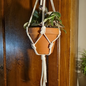 Puede incluir: Un macetero de macramé blanco con una maceta de terracota y una planta verde colgando de él. El macetero está sujeto a una puerta de madera.