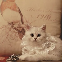  Lace Collar - Etsy
