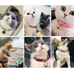 Japanese Style Dog Cat Collar Removable Pet Collar Accessories Wedding
