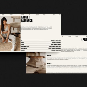 May include: A website page with the text "Target Audience" and "Pillars" in black text on a white background. The page describes the target audience for a brand and the brand's pillars. The target audience is described as people between 25 and 40 years old, both male and female, living in Europe and North America, with a middle to upper middle class socioeconomic status, college educated professionals, who prefer social media.