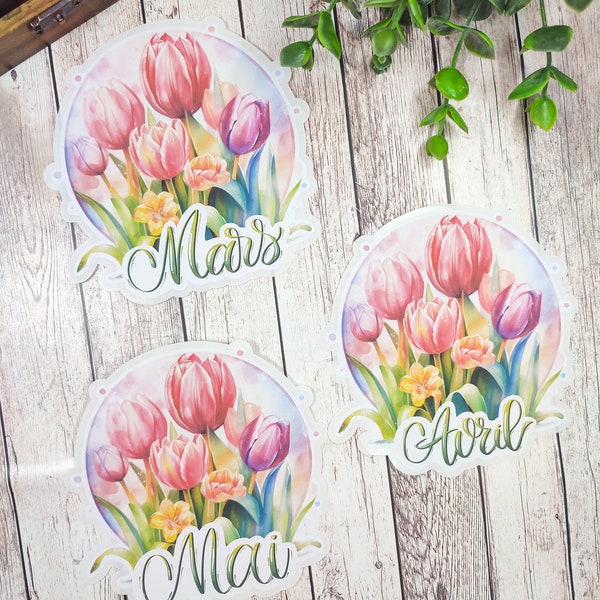 Jusqu'à 3 gros stickers thème tulipes mois calligraphie mois du printemps mars avril ou mai pour vos planner bujo journal scrapbooking