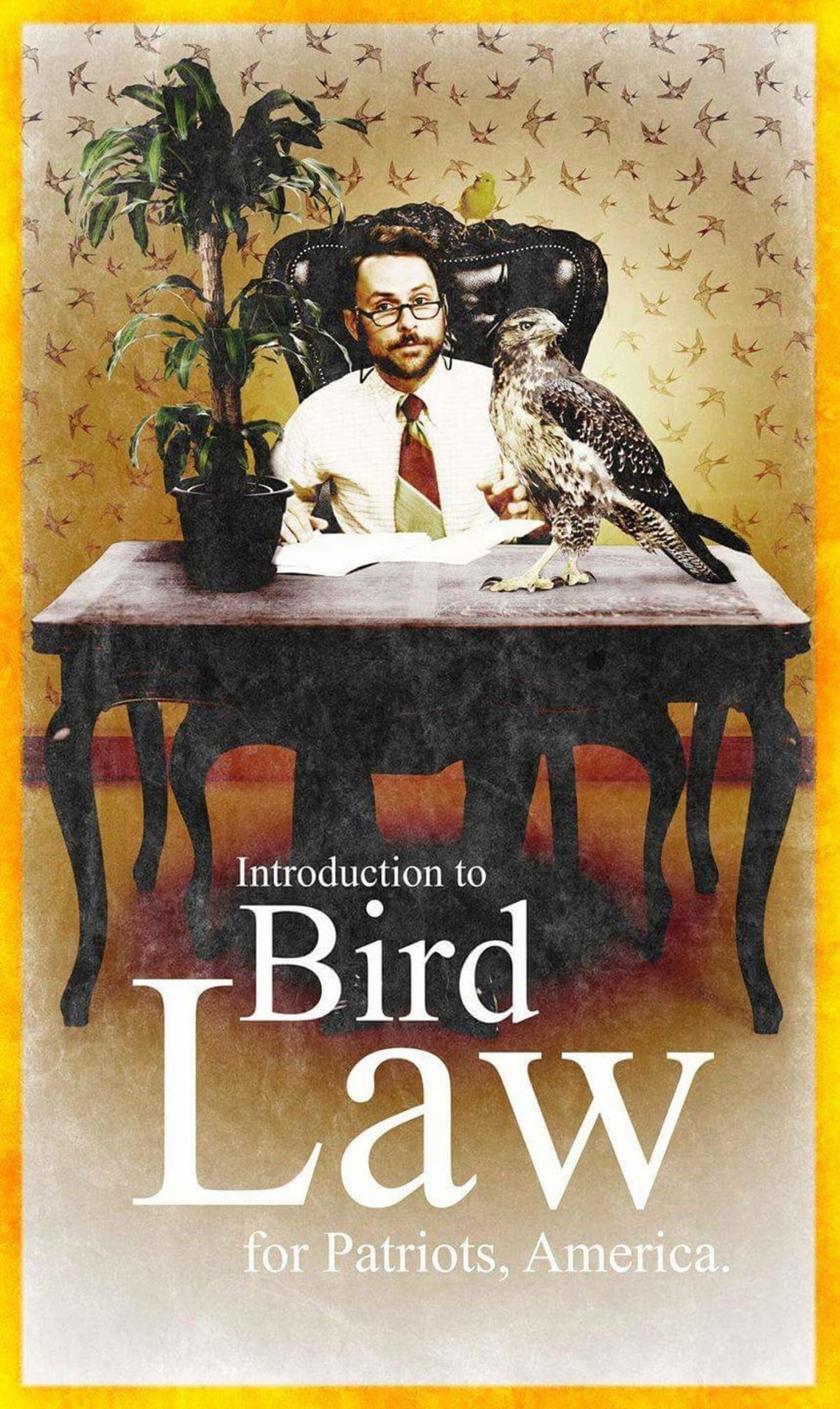 CharlieKelly Introduction to bird law for patriots American Etsy