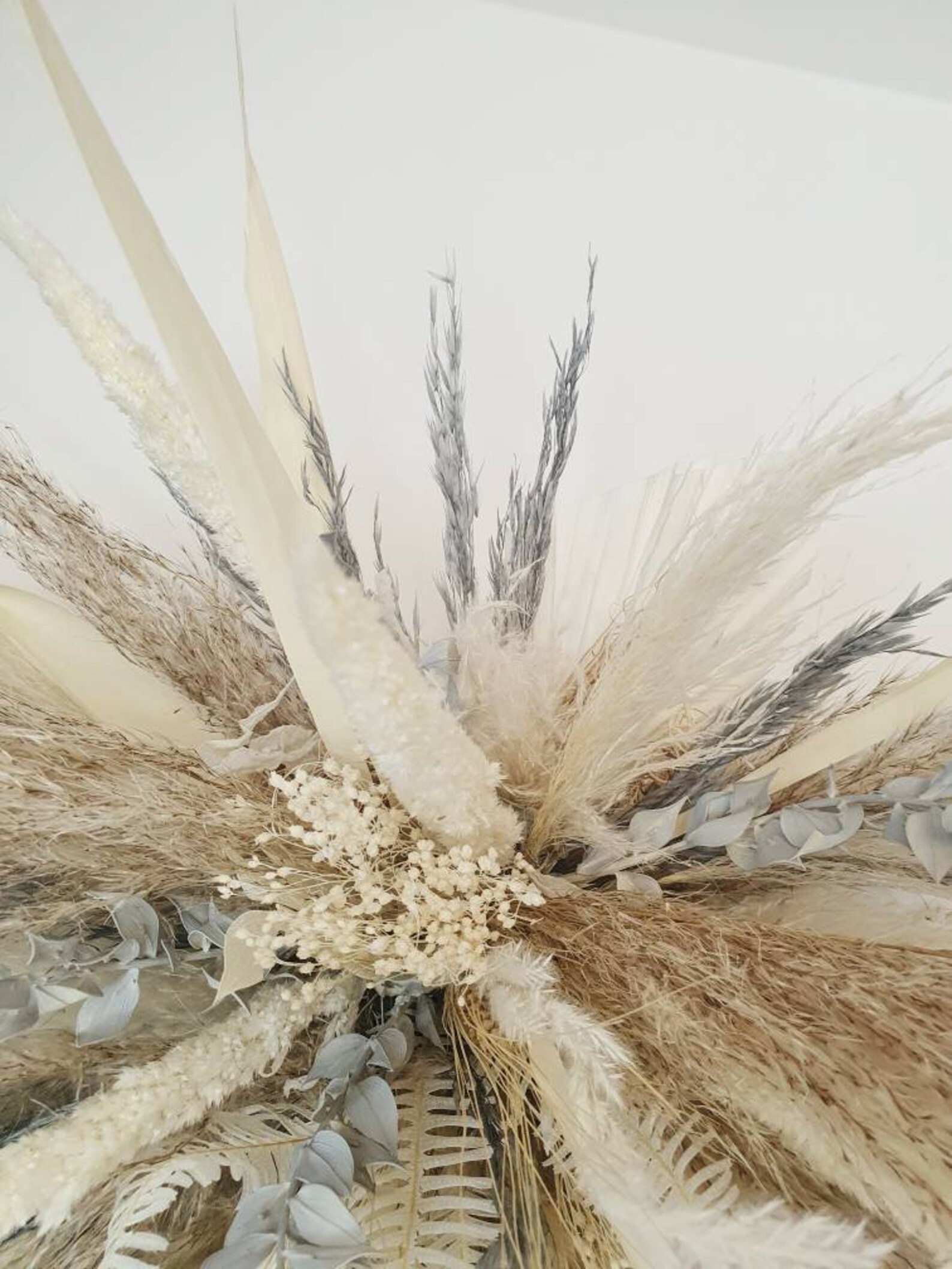 Pampas Wall Feature Etsy UK