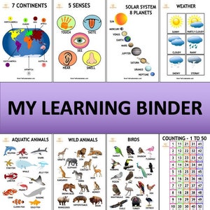 Toddler Learning Binder Printable, Busy Book, Toddler Busy Book, Toddler Quiet Book, Preschool Binder, Busy Binder, Homeschool Activities