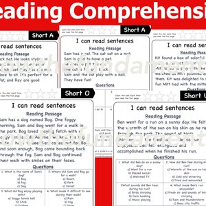 Reading Comprehension | Simple Sentences | Reading Practice Worksheets ...