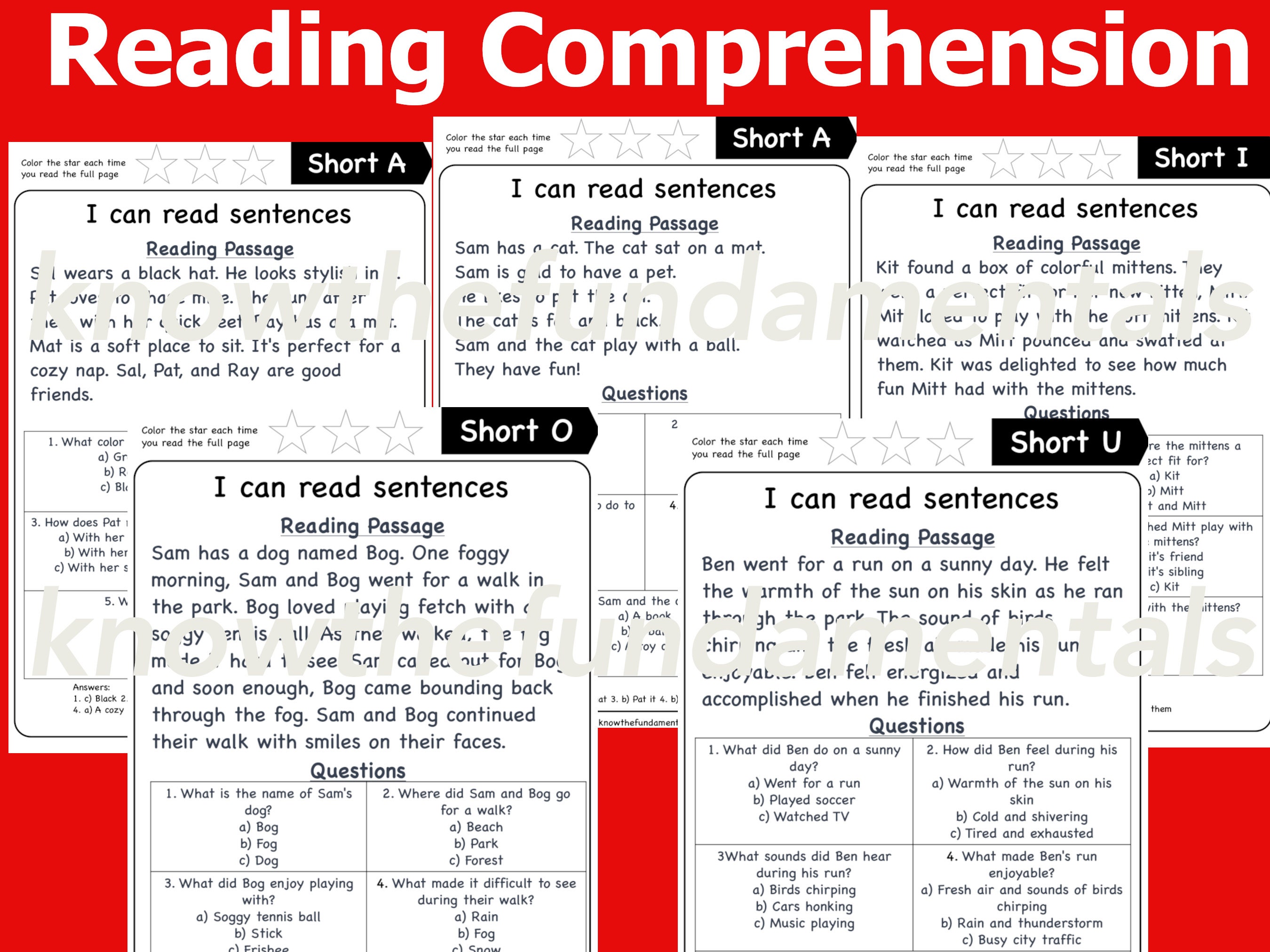 Reading Comprehension | Simple Sentences | Reading Practice Worksheets ...