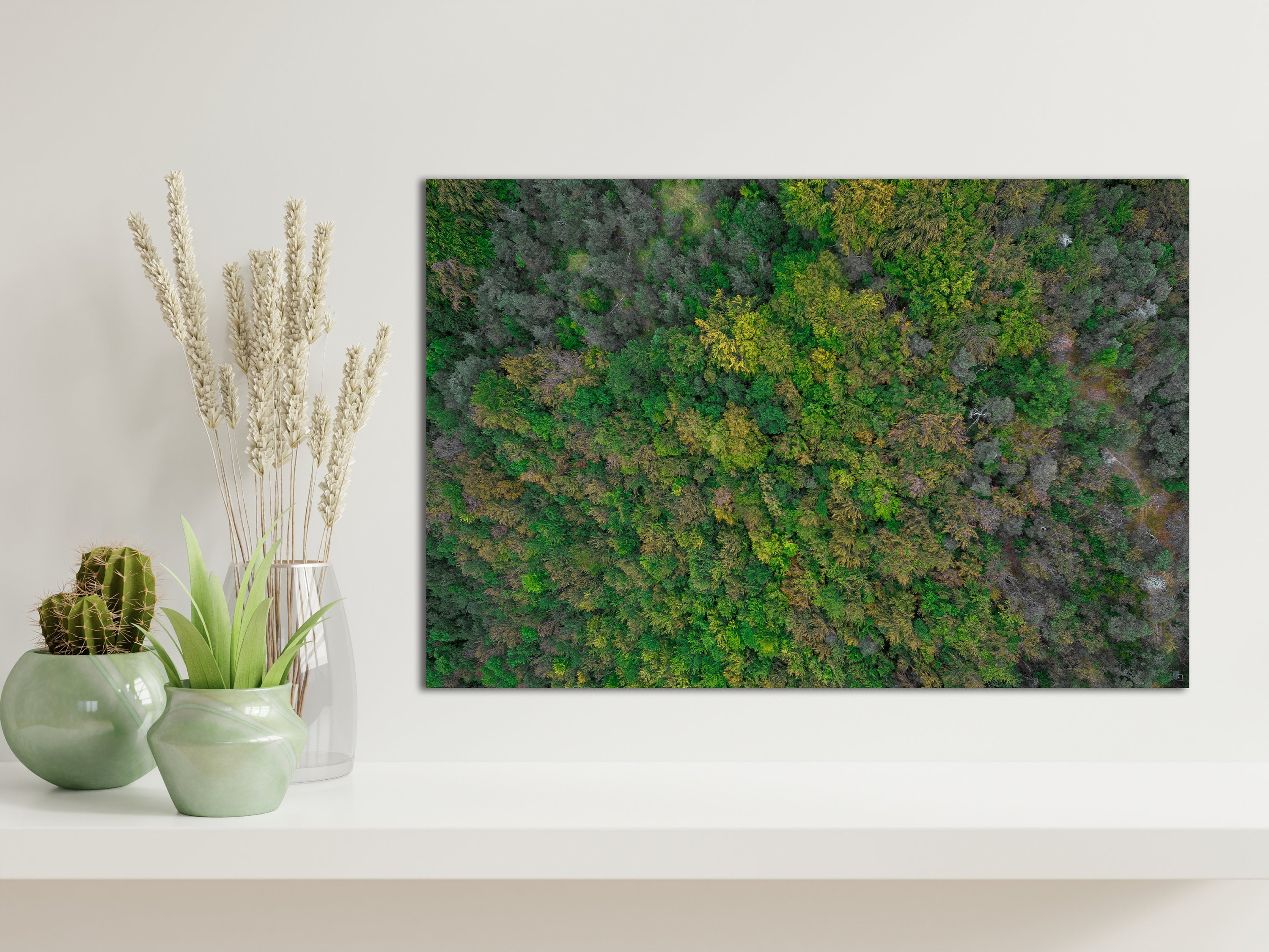 Forêt Vue Du Ciel - Tirage Photo sur Aluminium