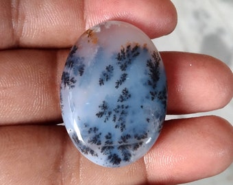 R1242 31X18mm 27.30cts.. Dendritic moss agate cabochons