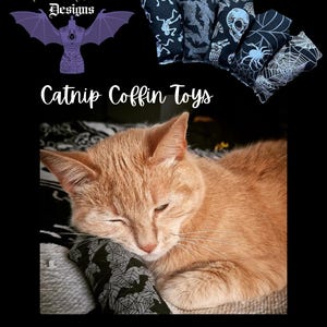 Juguete de hierba gatera en forma de ataúd: almohada gótica para patear gatos, regalo para amantes de los gatos