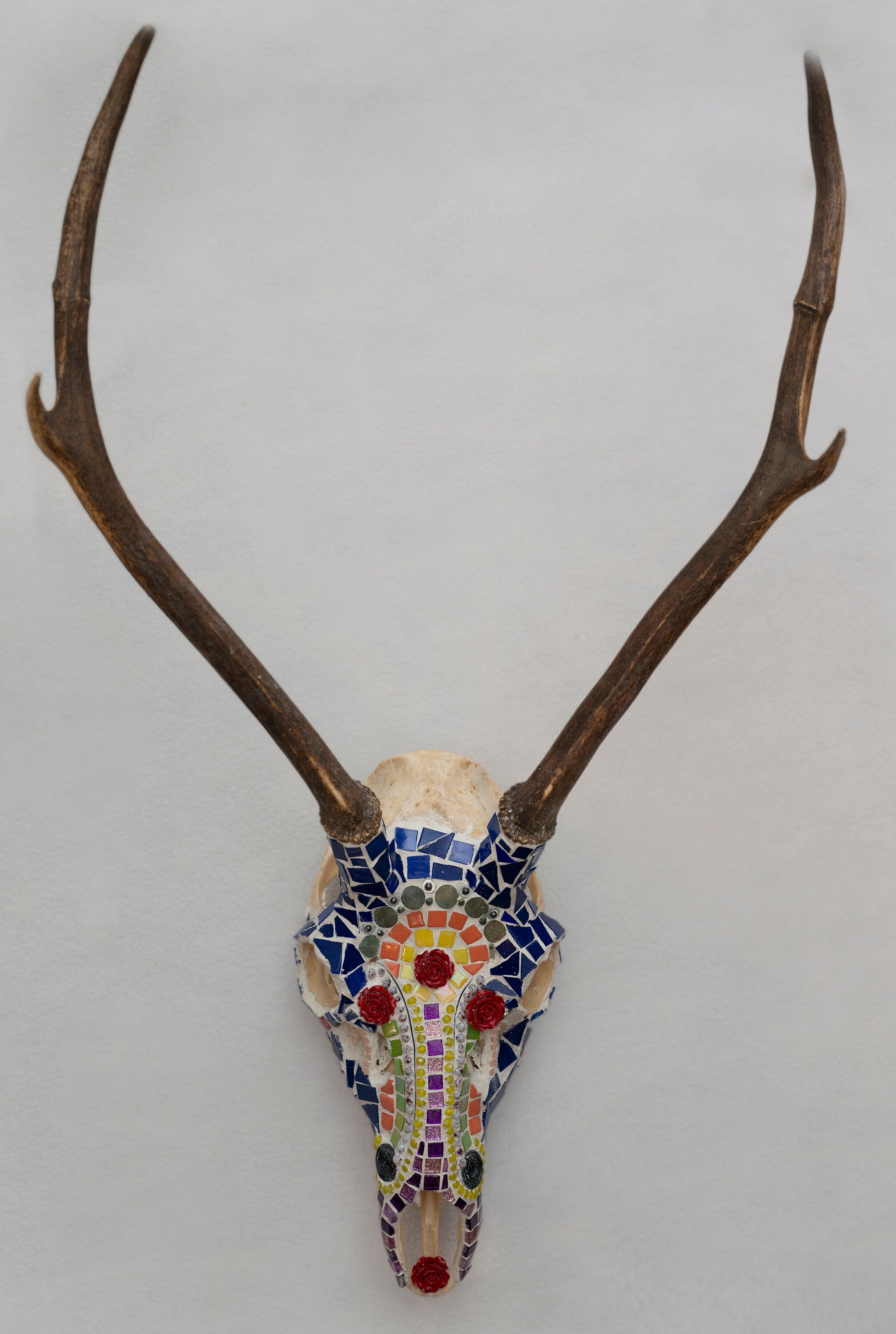 Freak of Nature Mosaic Deer Skull Etsy
