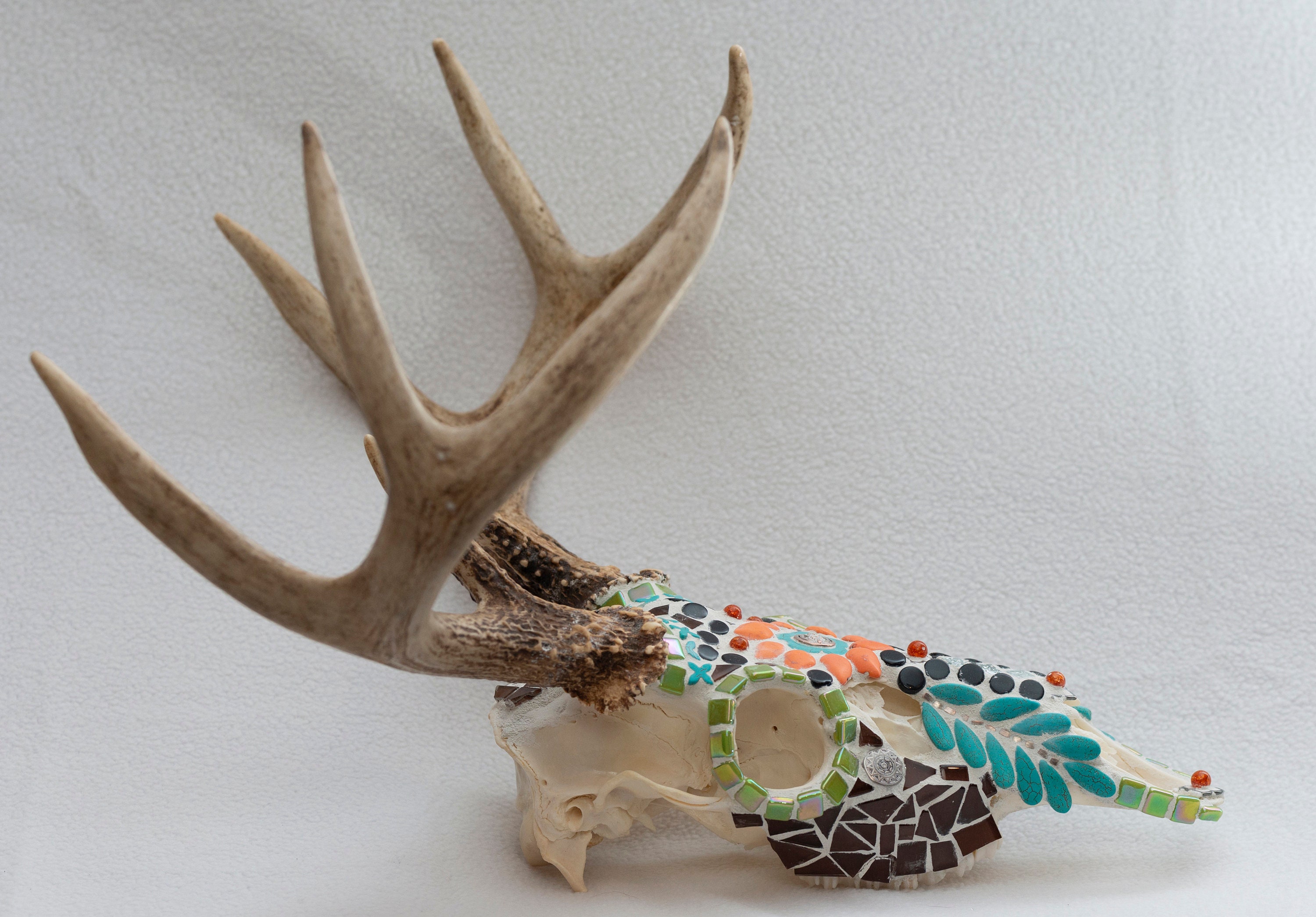Twisted Trails Mosaic Deer Skull Etsy