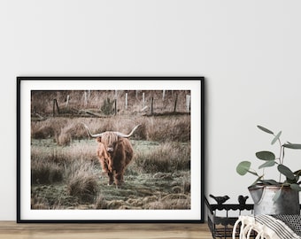 Highland Cow Print | Scottish Highland Coo Wall Art | Scotland Photography Gift | Cute Animal Art | Housewarming Gift Scotland I A5 A4 A3 A2