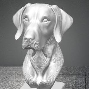 May include: A monochromatic white sculpture of a dog head and neck, featuring detailed fur texture and floppy ears. The bust is mounted on a square, block-like base with a cracked, stone-like appearance, showcasing a realistic canine facial structure.