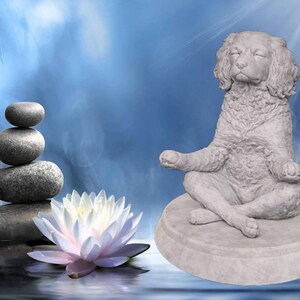 Zen Dog - Cavapoo