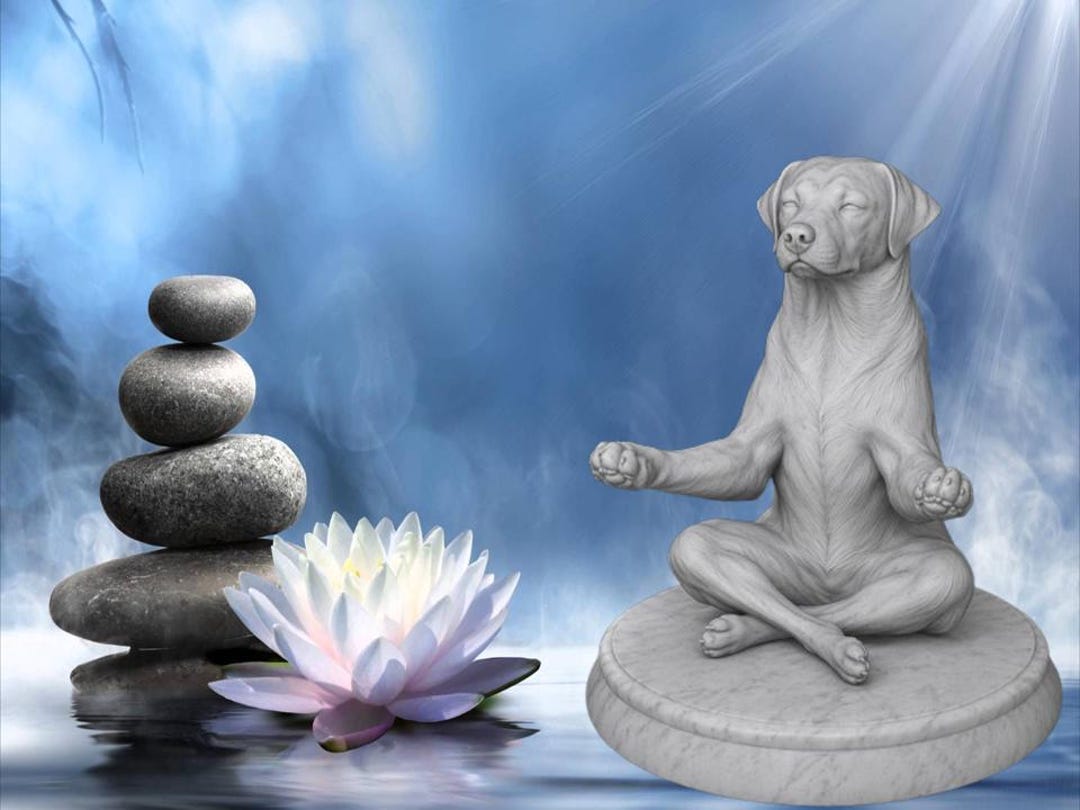 Zen Labrador Zen Dog - Labrador - Etsy