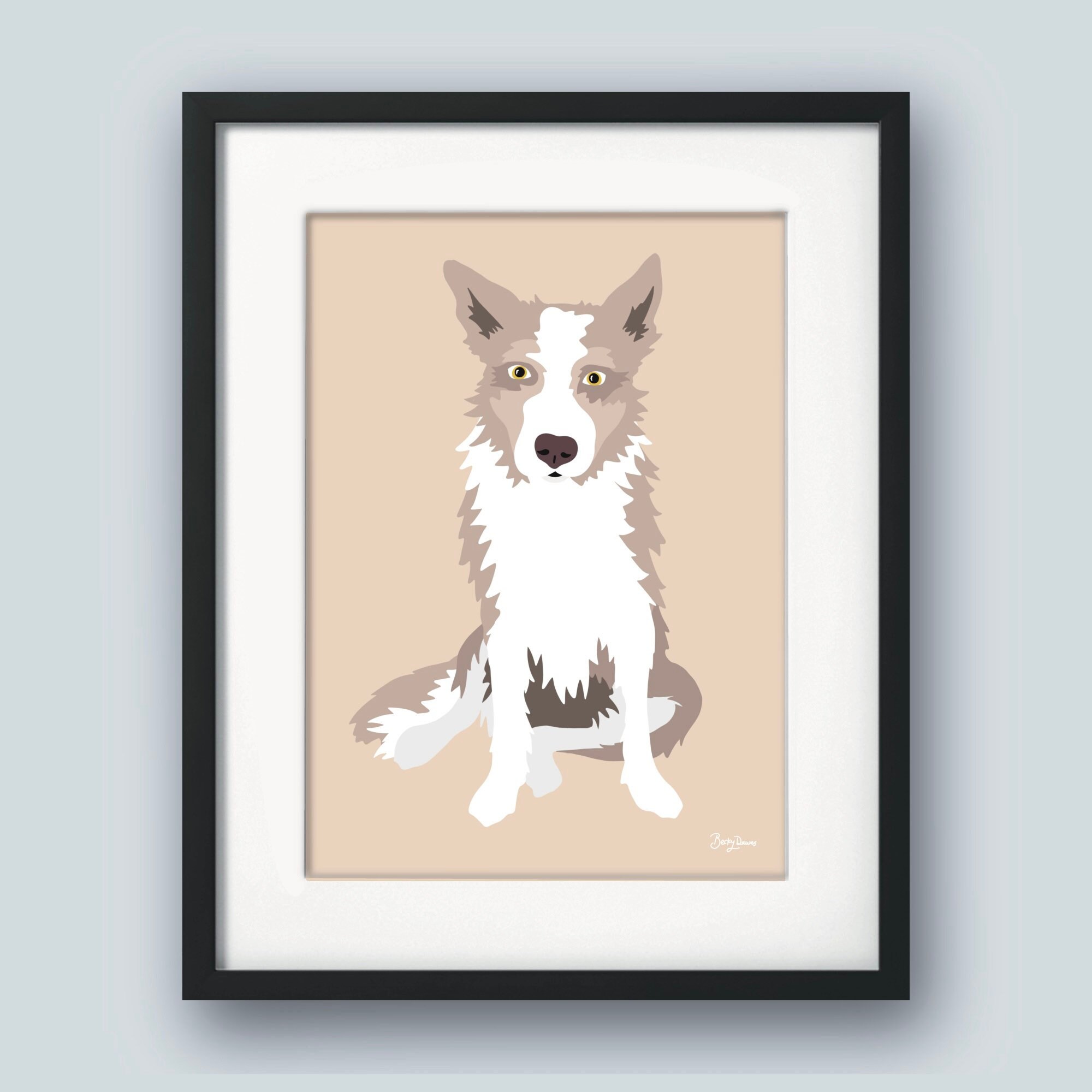 Lilac Tri Merle Border Collie clinicadeojosdrsacoto
