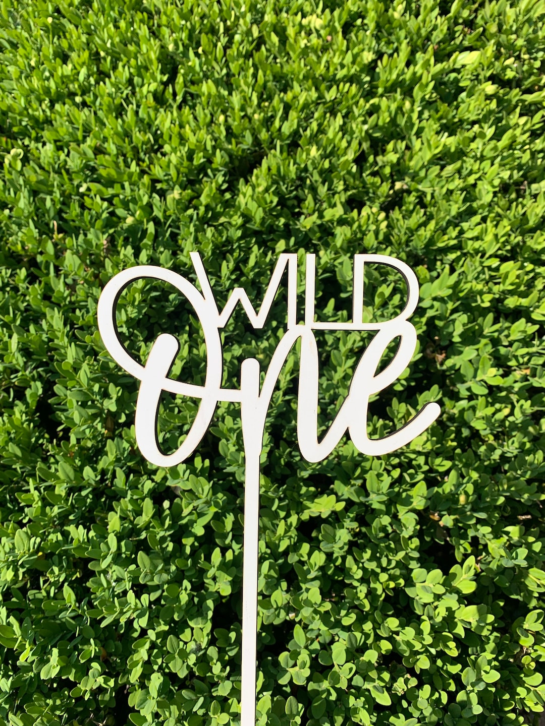 Wild One Cake Topper, Wild One First Birthday Cake Topper,
