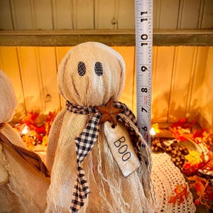 May include: A beige fabric ghost doll with black eye cutouts and a black and white checkered scarf. A wooden star and a tag that says "BOO" are attached. The doll is approximately 10 inches tall, perfect for Halloween decor.