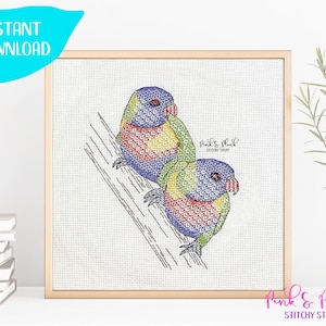 Rainbow Lorikeet Australian Native Bird Series Modern Blackwork Pattern Instant PDF Download Aussie Design