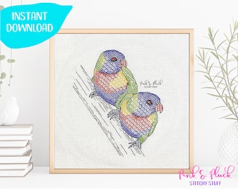 Rainbow Lorikeet Australian Native Bird Series Modern Blackwork Pattern Instant PDF Download Aussie Design