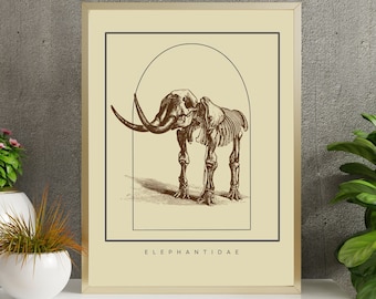 May include: A vintage illustration of an elephant skeleton in a cream-colored frame with the text "ELEPHANTIDAE" at the bottom.