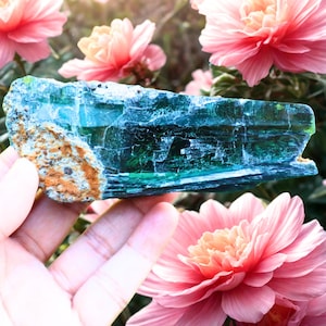 Vivianite Crystal Specimen – Deep Green Raw Mineral for Healing, Display & Collectors