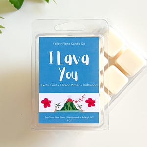 I Lava You Wax Melts: Exotic Fruit + Ocean Driftwood