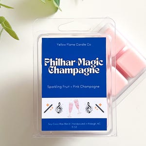Philhar–Magic Champagne | Disney wax melts | Magic Kingdom candle | Disney inspired wax melt | Disney candle | Disney world scent | mk scent