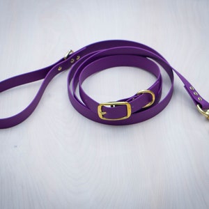 May include: A purple dog lead with a gold metal buckle and clip. The lead is made from a durable, waterproof material.