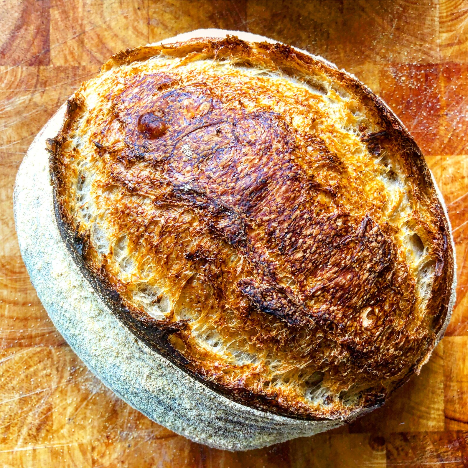 Sourdough Baker Starter Kit With 1 Rattan Basket Sourdough Etsy