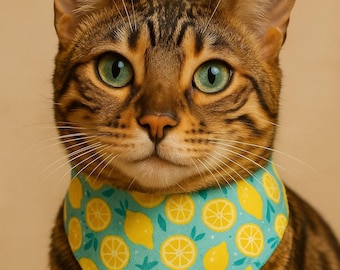 Lemon Reversible Pet Bandana – Yellow Citrus Scarf for Cats & Small Dogs