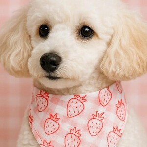 Fruit Reversible and Customizable Pet Bandana + Scrunchie Set – Red Plaid/Strawberry Print Scarf for Cats & Small Dogs - &quot;Picnic Strawberry&quot;