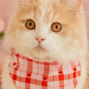 Plaid Hearts Reversible and Customizable Pet Bandana – Red Hearts + Pink Gingham Scarf for Cats and Small Dogs - &quot;Sweetheart Plaid&quot;
