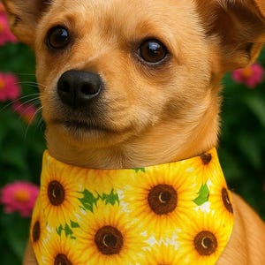 Sunflower Reversible and Customizable Pet Bandana and Scrunchie Set – Floral Print Scarf for Cats & Small Dogs - &quot;Sunshine Bloom&quot;