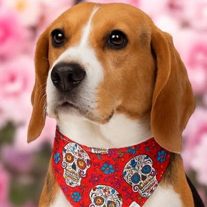 Mexican Skulls Reversible and Customizable Pet Bandana – Día de los Muertos Skull Print Scarf for Cats and Small Dogs - &quot;Calaveritas&quot;