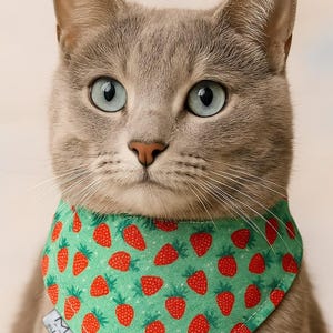 Strawberry Reversible and Customizable Pet Bandana – Cute Fruit Print Red & Green Scarf for Cats and Small Dogs - &quot;Berry Sweetheart&quot;