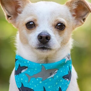 Shark Reversible and Customizable Pet Bandana – Blue Ocean Shark Print Scarf for Cats and Small Dogs - &quot;Shark Splash&quot;