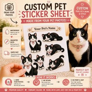 Può includere: Un foglio di adesivi personalizzati per animali domestici con illustrazioni di un gatto bianco e nero che indossa un collare rosa con un ciondolo a cuore. Il foglio include testo come CUSTOM PET STICKER SHEET, Your Pet's Name e istruzioni.