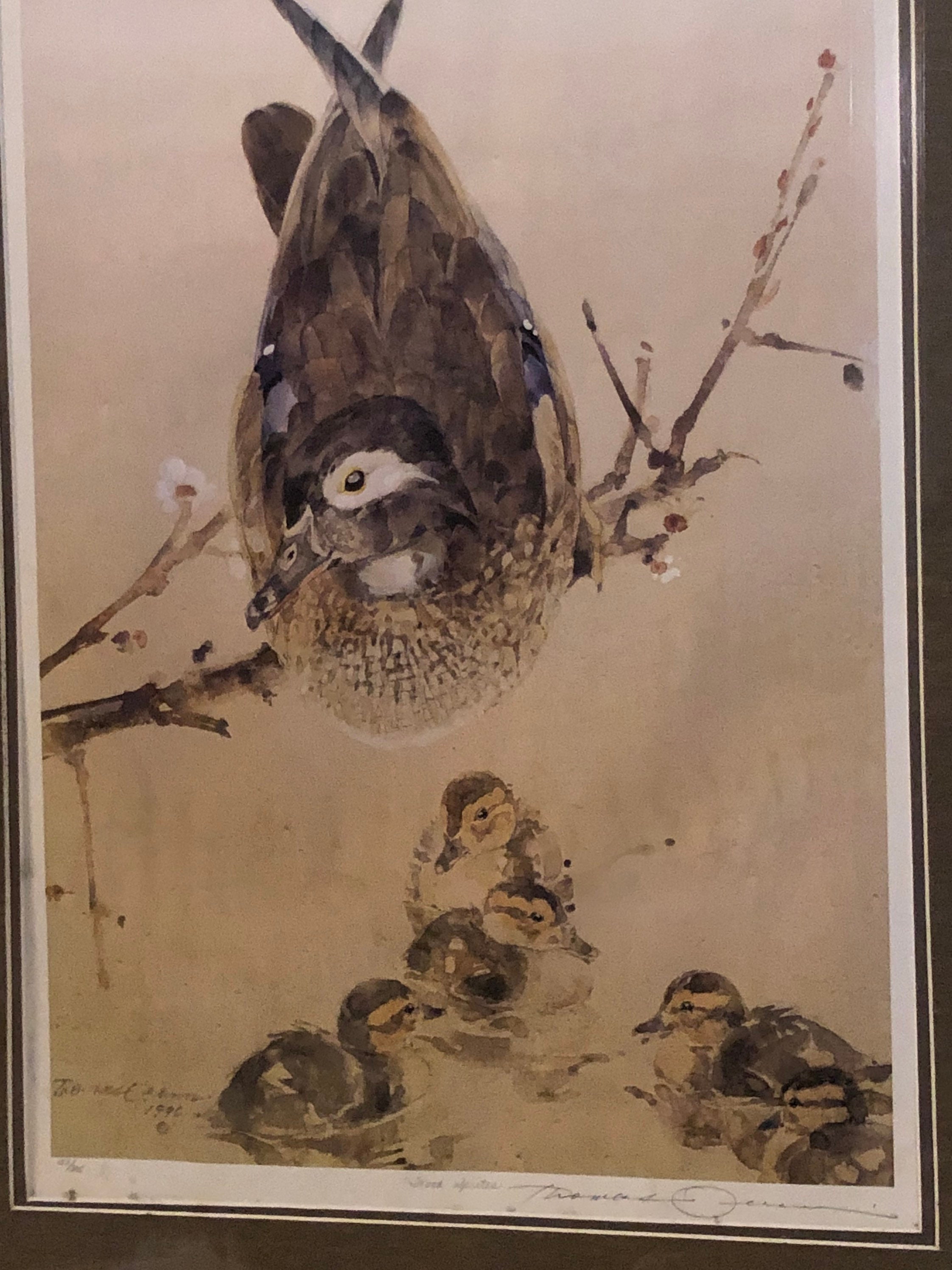 1996 Thomas Quinn Framed Lithograph Limited Edition | Etsy