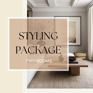 2-Room Virtual Interior Design Package | Mood Boards & Floor Plans