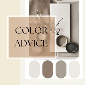 Custom Paint Color Palette | Virtual Interior Design Services | eDesign Package | Color Consultation