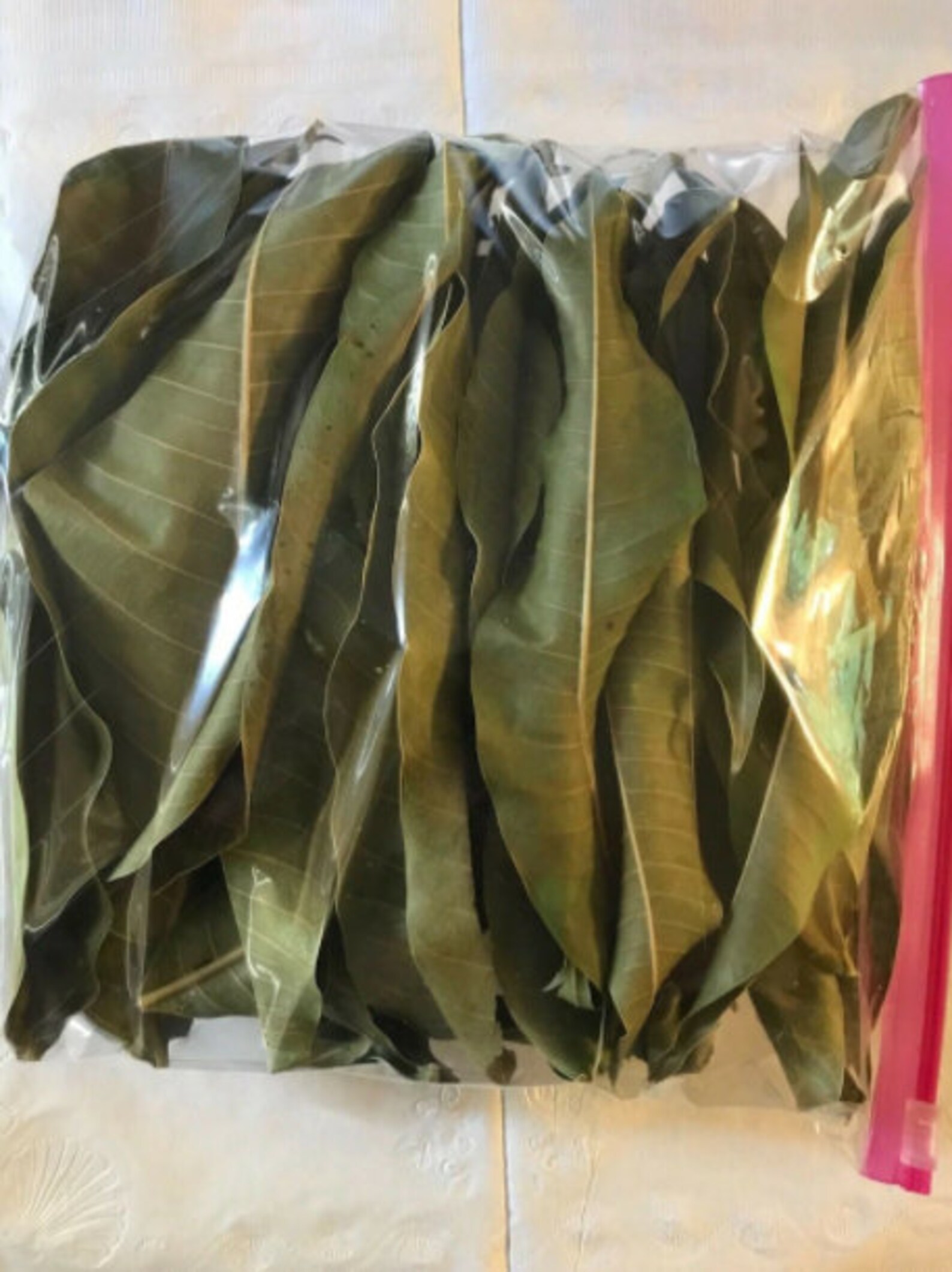 Dried Mango Leaves 100 Pure Organic Natural Leaf From Sri Etsy